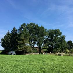 Weer lucht en licht op rietgedekte boerderij in Fluitenberg