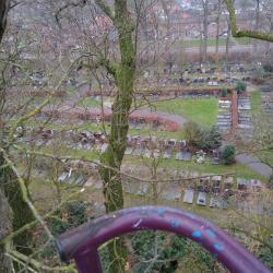 Boom onderhoud oude begraafplaats Hoogeveen