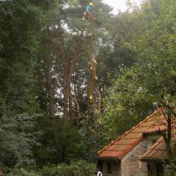 Uitkleden Eiken Vledderveen