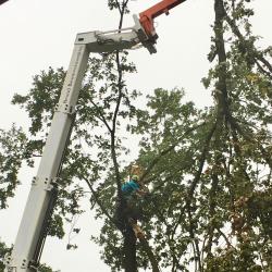 Stormschade wegtakelen