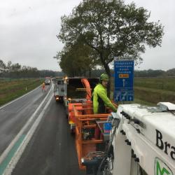 Stormtakken verwijderen aan de N366 