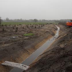 Planten bosplantsoen voor de Provincie Drenthe in Ter Apel 