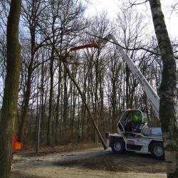 Snoeien en vellen in Nooitgedacht