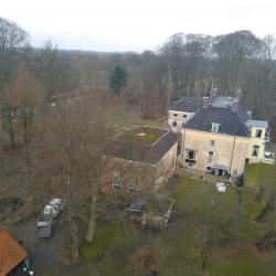 Kandelaberen, door zwammen aangetaste Linden in Veenklooster