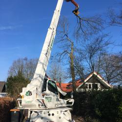 Met inzet van velkop dunnen