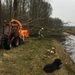 Opruimen storm-Wilg voor Provincie Drenthe in Broekhuizen