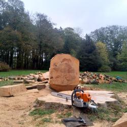 Beuk vellen voor landschap beheer Drenthe in Veenhuizen