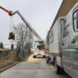 Uitkleden en frezen Beuk achter afrastering in Hoogeveen