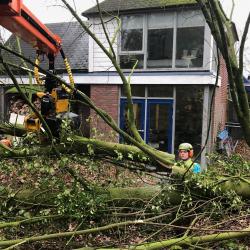 Leeg zagen van een particuliere tuin in Vries