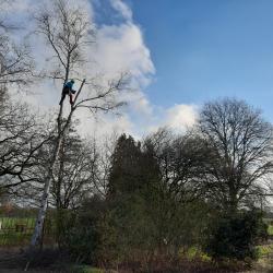 Velwerk op particulier erf in Zuidwolde