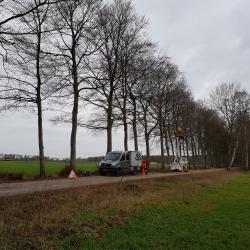 Snoeien op landgoed "Dennenrode" te Hooghalen, voor Natuurmonumenten