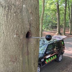 Met Danphe bomen beoordelen voor Landschapsbeheer Drenthe