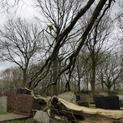 Storm-Berk begraafplaats Hoogeveen