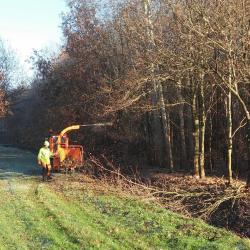 Prov  Drenthe opsnoeien aan N34