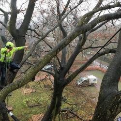 Overleg op hoogte over maatregelen