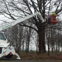 Nieuwe Merlo R40.18s