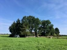 Weer lucht en licht op rietgedekte boerderij in Fluitenberg