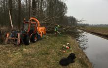 Opruimen storm-Wilg voor Provincie Drenthe in Broekhuizen