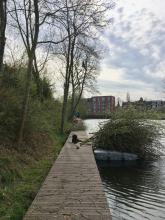 Snoeien voor gem Groningen met inzet van pontons