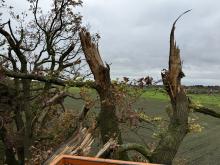 Gevaarlijke stormschade takken verwijderen