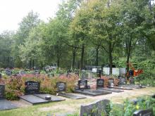 Snoei- en velwerk begraafplaats Hollandscheveld
